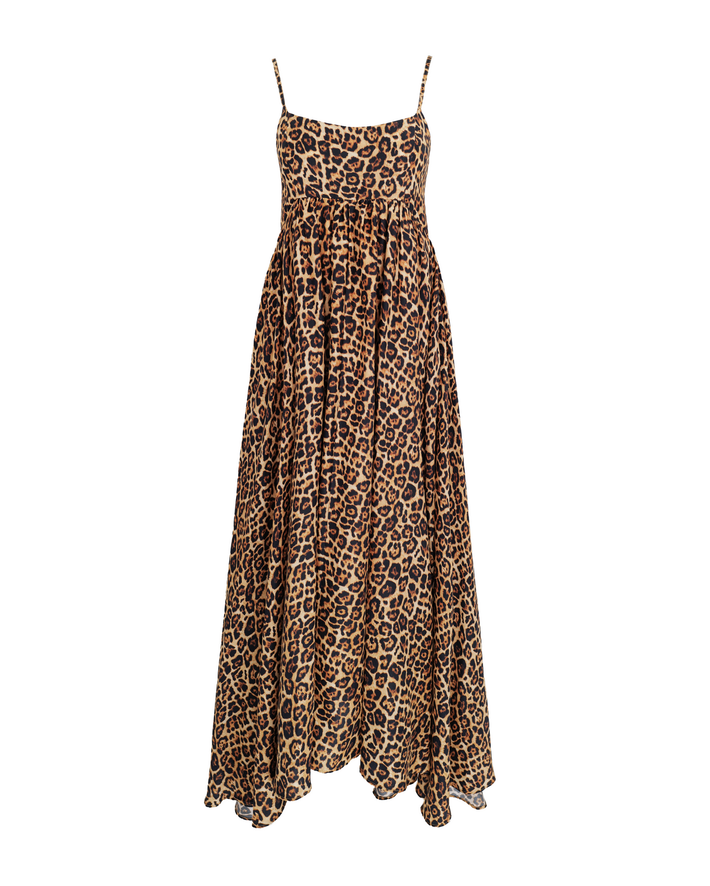 leopard
