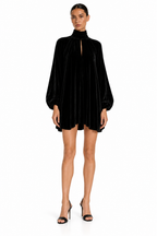 Emlyn Velvet Mini Dress