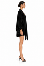 Emlyn Velvet Mini Dress
