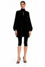 Emlyn Velvet Mini Dress