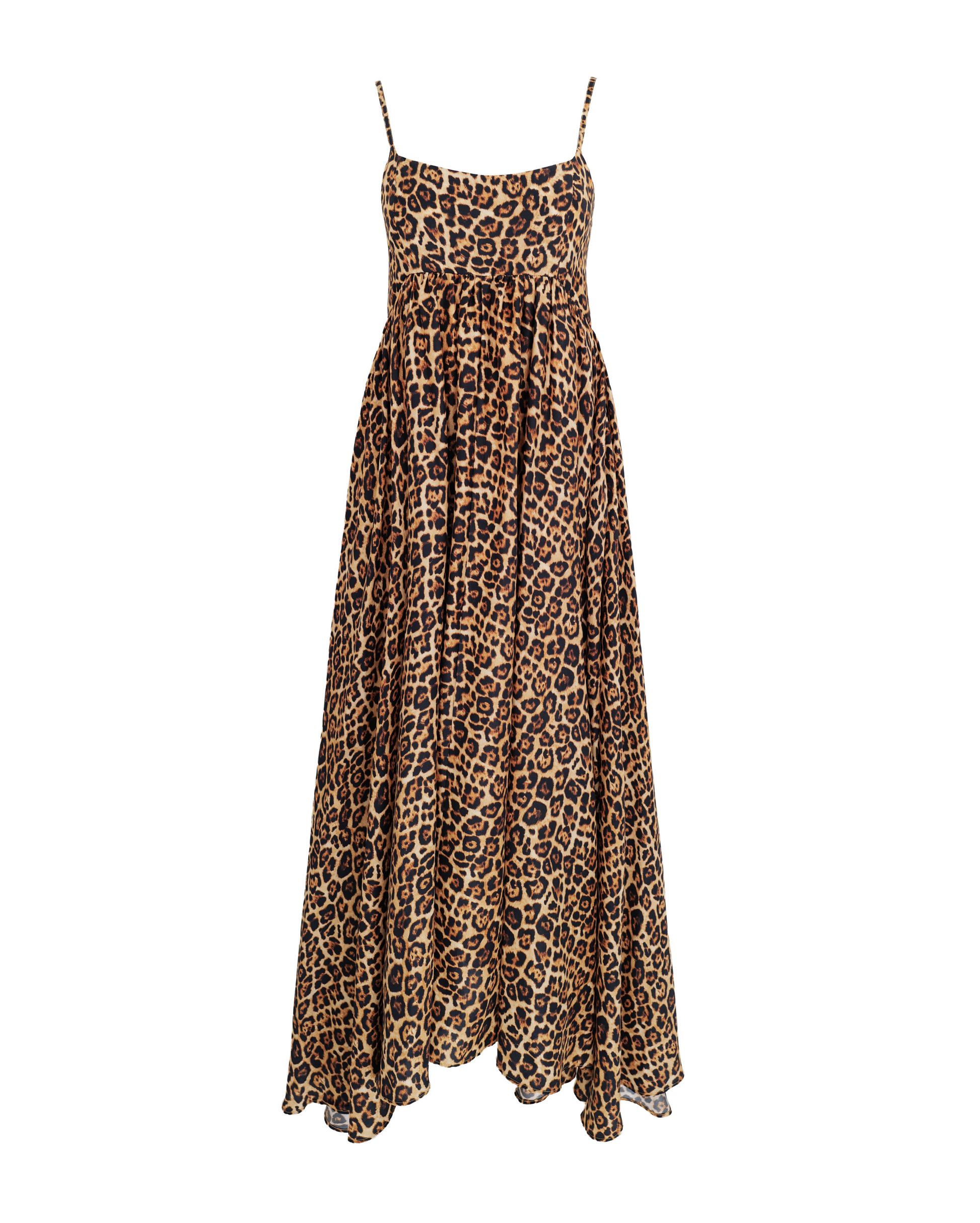 leopard