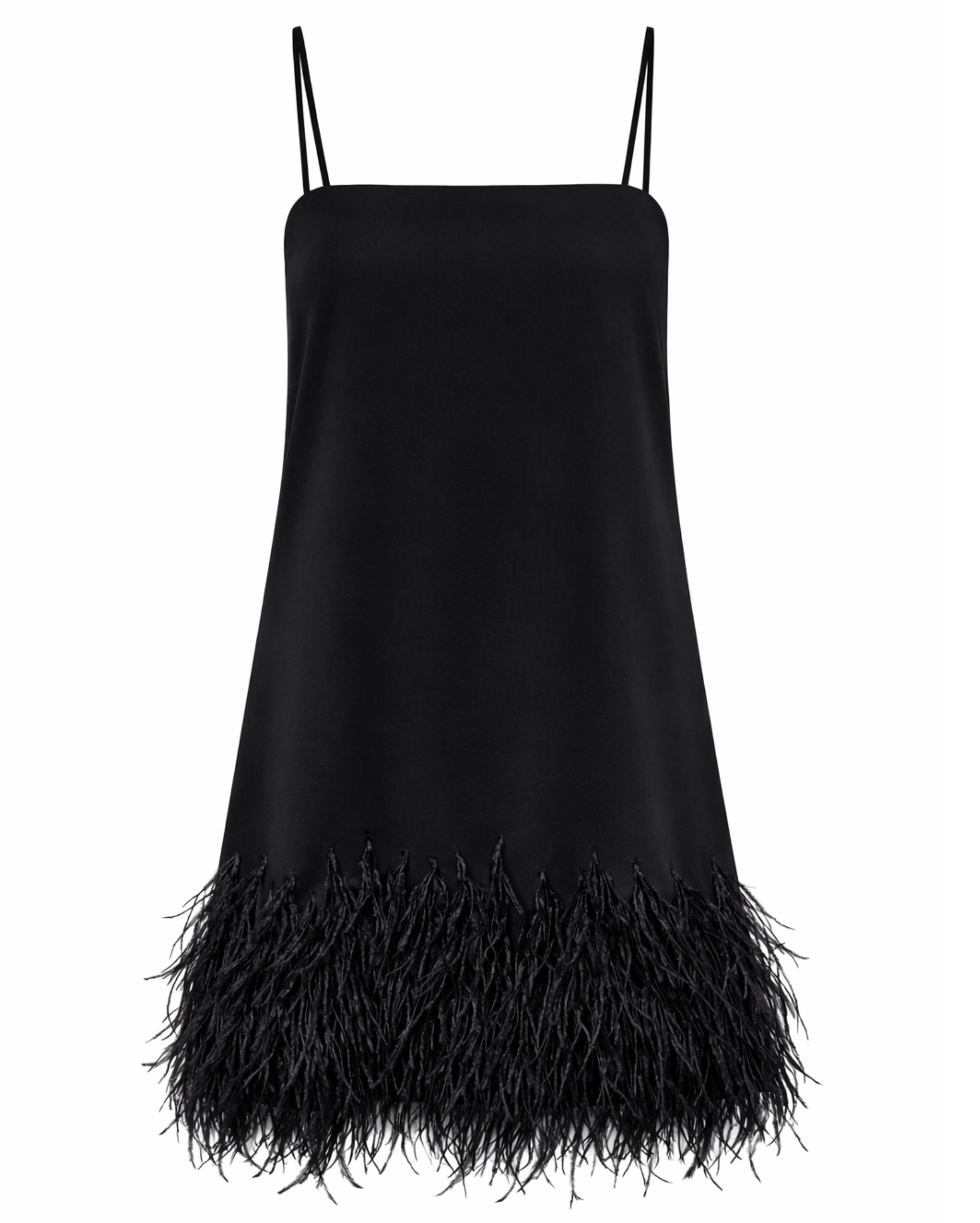 Feather Embellished