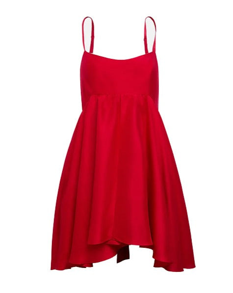 Rachel Raw Silk Mini Dress