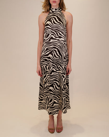 zebra