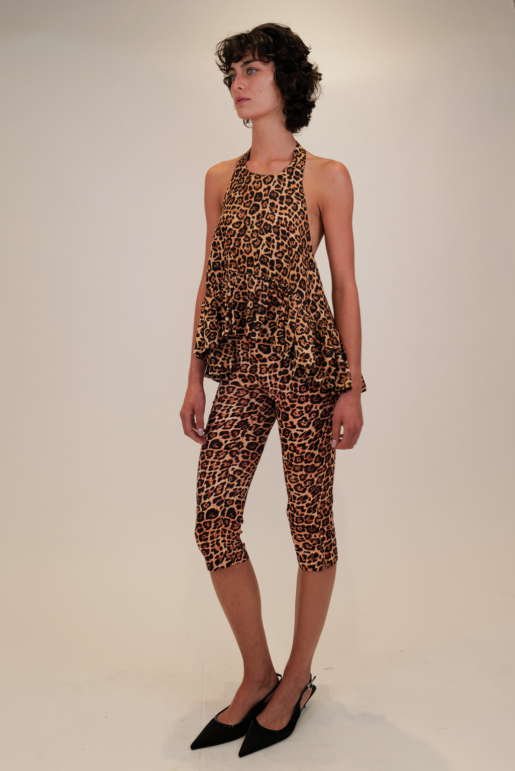 leopard