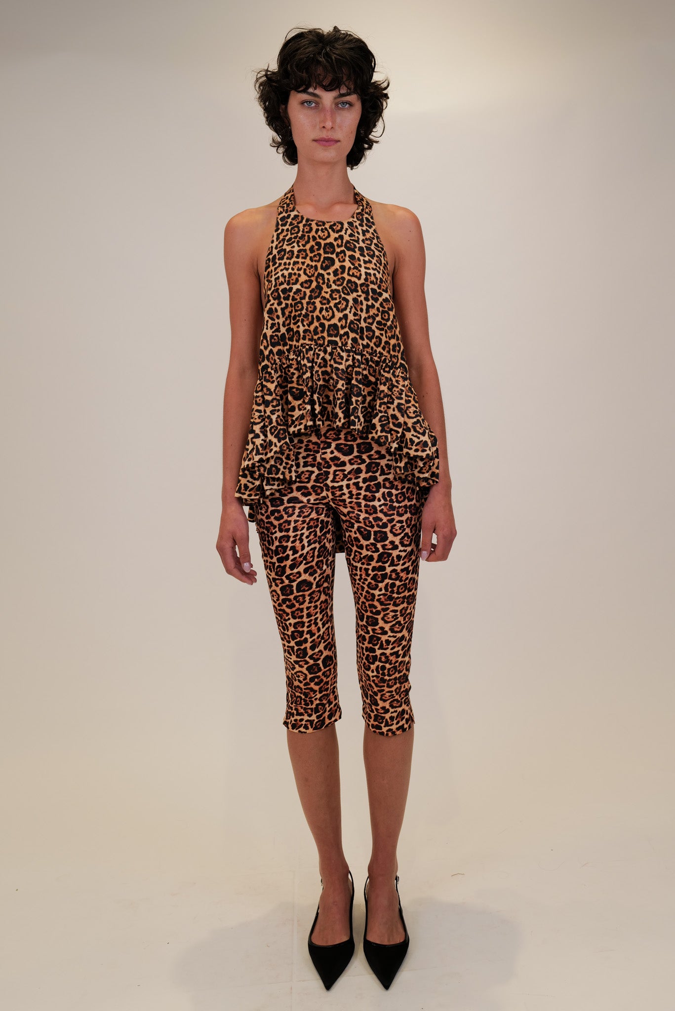 leopard