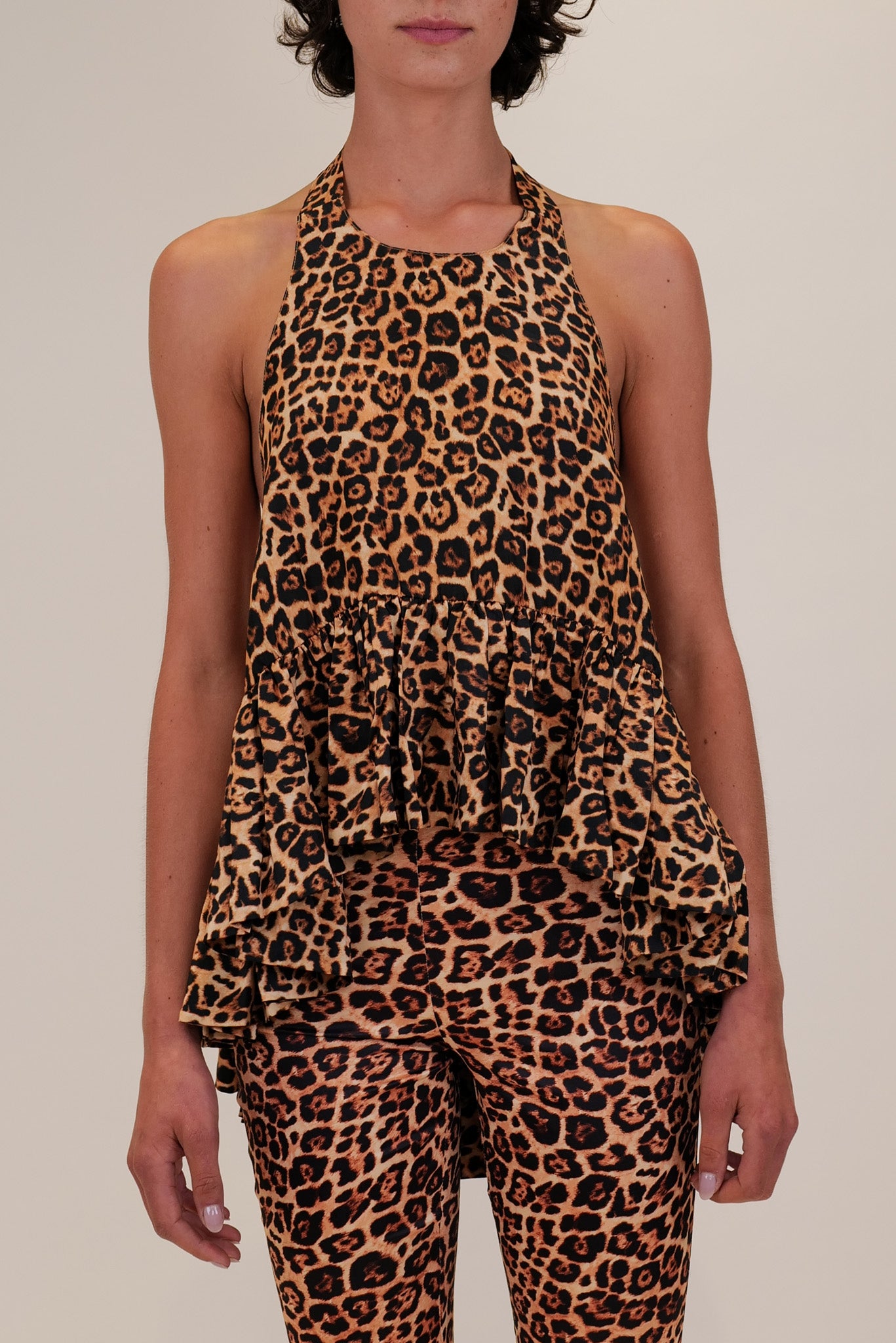 leopard