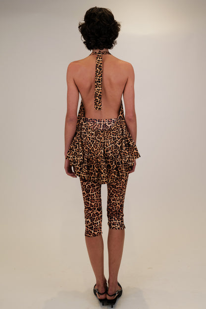 leopard