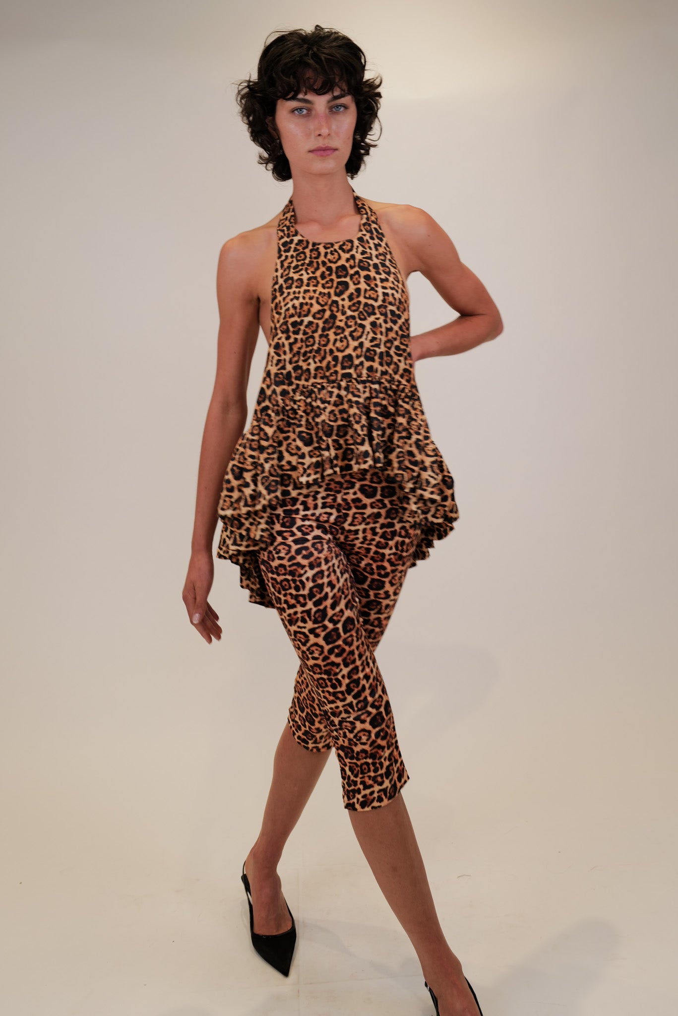 leopard