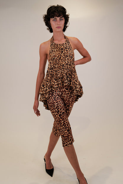leopard